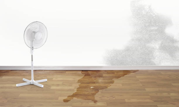  Hayden, CO Water damage restoration Pros