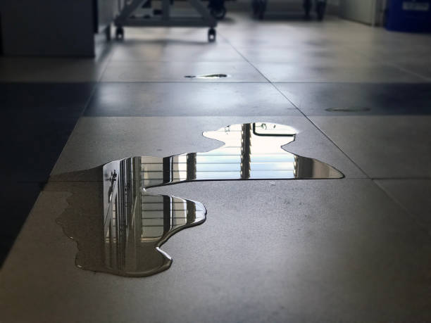 Best 24-hour water damage restoration  in Hayden, CO