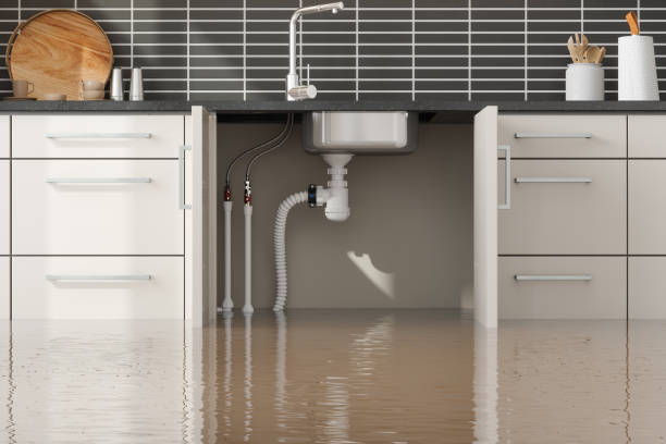 Best Residential water damage restoration  in Hayden, CO