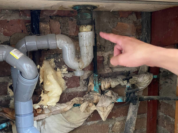 Best Ceiling water damage repair  in Hayden, CO