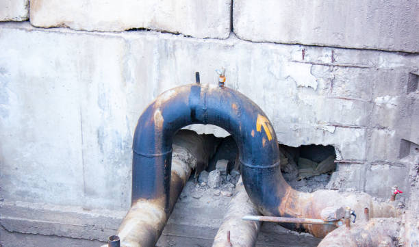 Best Flood restoration services  in Hayden, CO